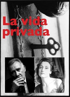 affiche du film La vida privada, de Vicente Perez Herrero